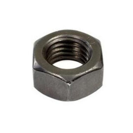 Hex Nut